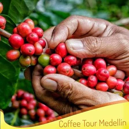 Coffee Tour